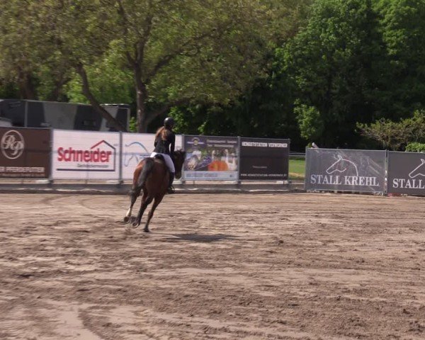 Reitturnier Lentzke - Reitanlage Krehl 2024