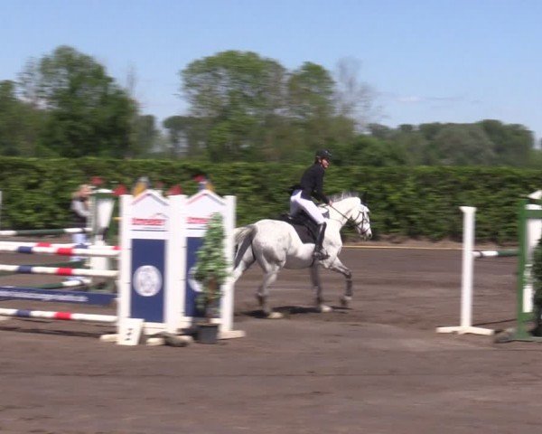 Reitturnier Lentzke - Reitanlage Krehl 2024
