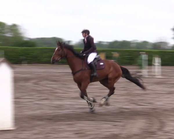 Reitturnier Lentzke - Reitanlage Krehl 2024
