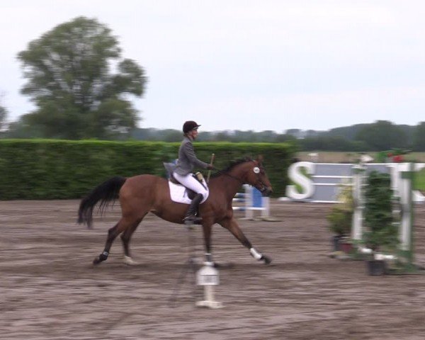 Reitturnier Lentzke - Reitanlage Krehl 2024