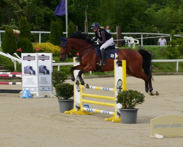 Reitturnier Bornheim-Widdig 2024