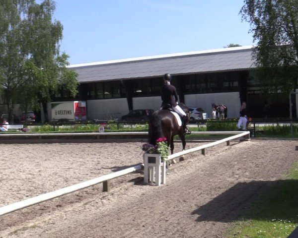 Reitturnier Hamm-Rhynern 2024