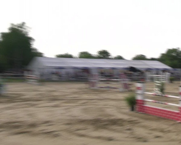 Reitturnier Lienen 2024