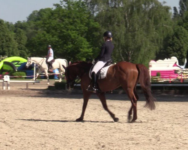 Reitturnier Hamm-Rhynern 2024