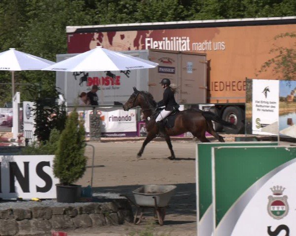 Reitturnier Hellefeld 2024