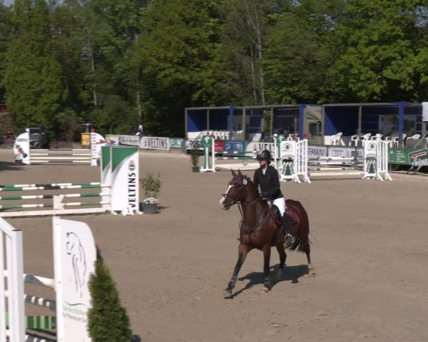 Reitturnier Hellefeld 2024