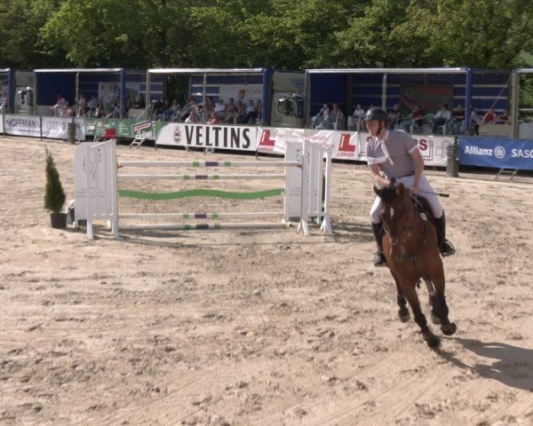 Reitturnier Hellefeld 2024