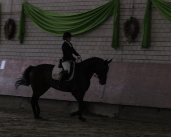 Reitturnier Hellefeld 2024