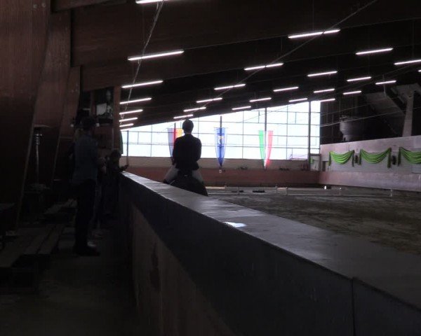 Reitturnier Hellefeld 2024