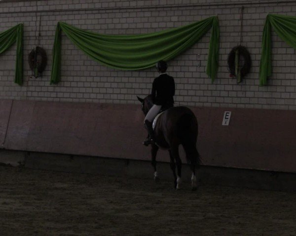 Reitturnier Hellefeld 2024