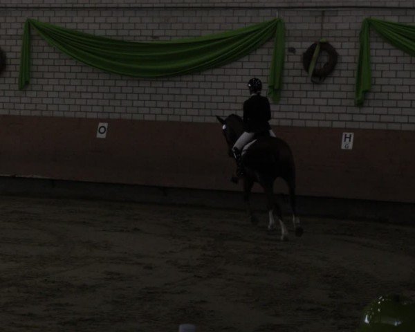 Reitturnier Hellefeld 2024