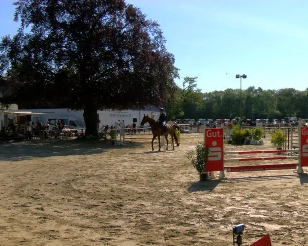 Reitturnier Dorsten 2024