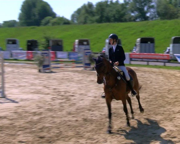 Reitturnier Dorsten 2024