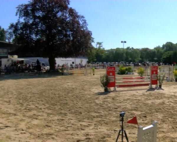 Reitturnier Dorsten 2024