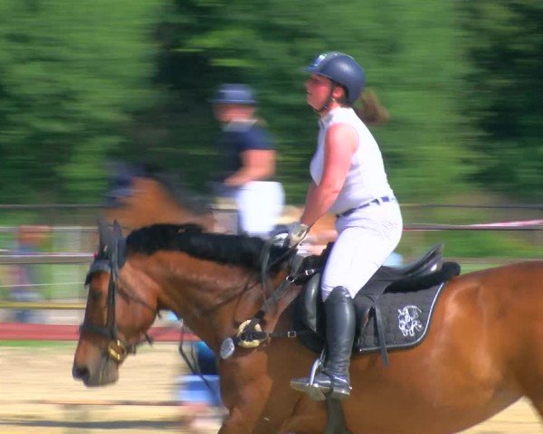 Reitturnier Dorsten 2024