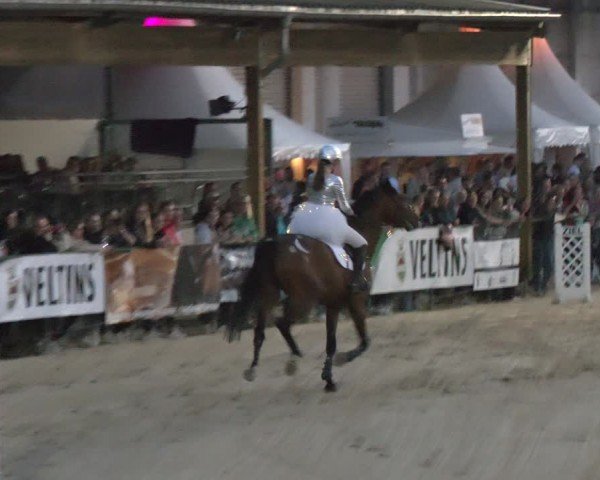 Reitturnier Hellefeld 2024