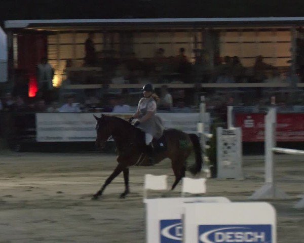 Reitturnier Hellefeld 2024
