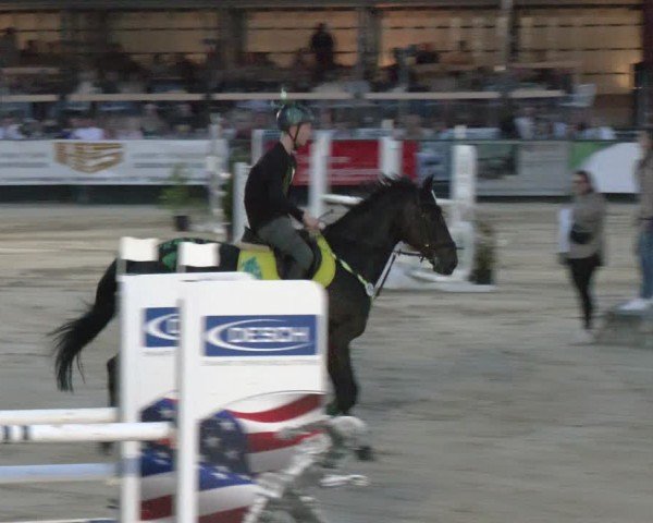 Reitturnier Hellefeld 2024