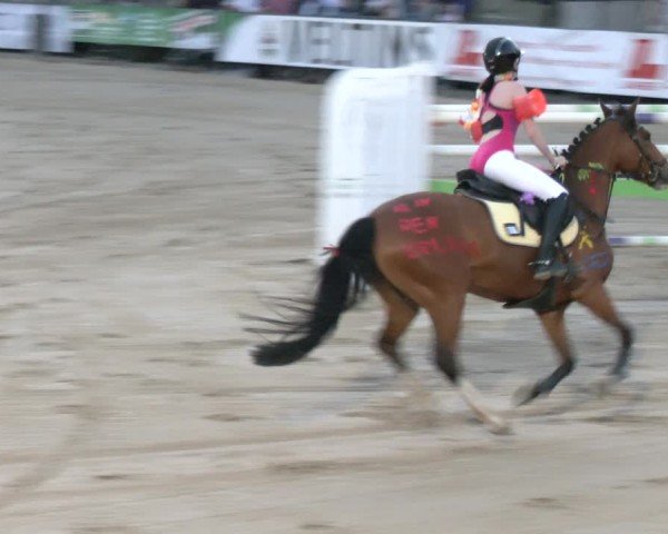 Reitturnier Hellefeld 2024