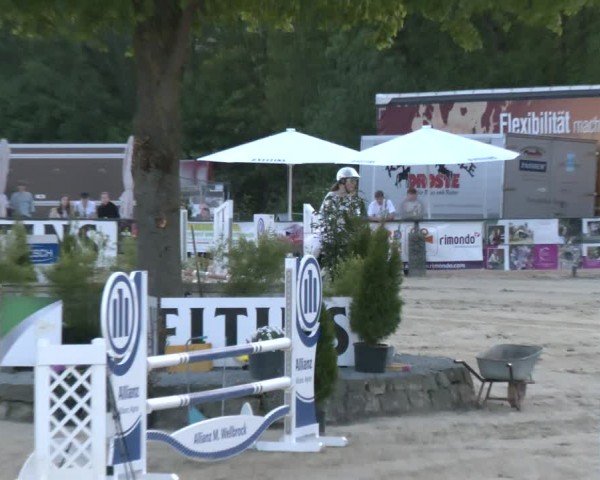 Reitturnier Hellefeld 2024