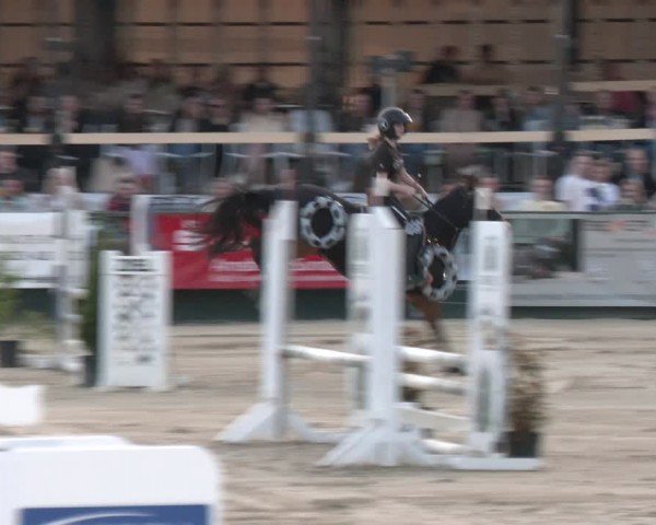 Reitturnier Hellefeld 2024