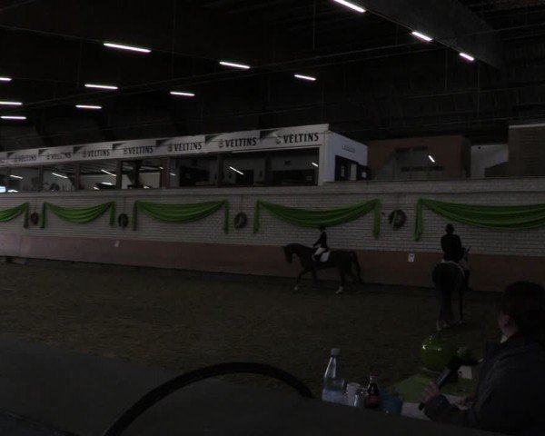 Reitturnier Hellefeld 2024