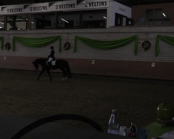 Reitturnier Hellefeld 2024