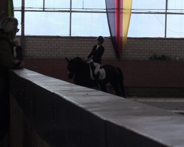 Reitturnier Hellefeld 2024
