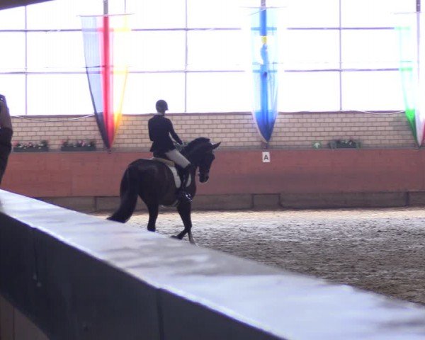 Reitturnier Hellefeld 2024