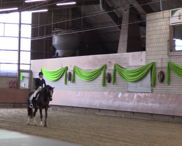 Reitturnier Hellefeld 2024