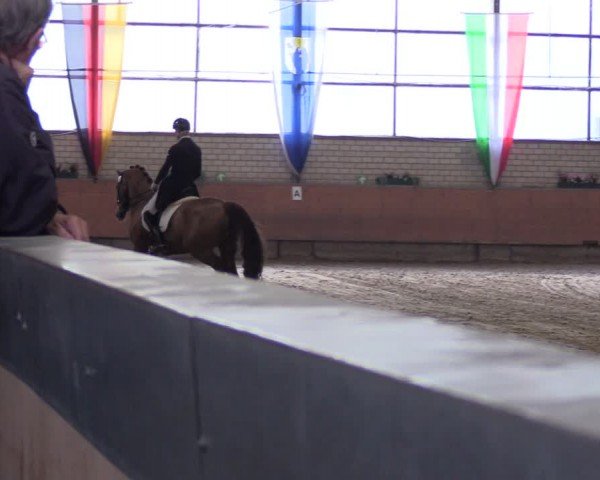 Reitturnier Hellefeld 2024