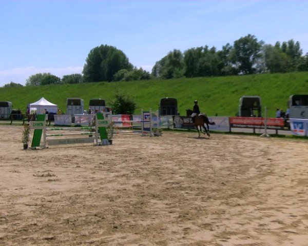 Reitturnier Dorsten 2024