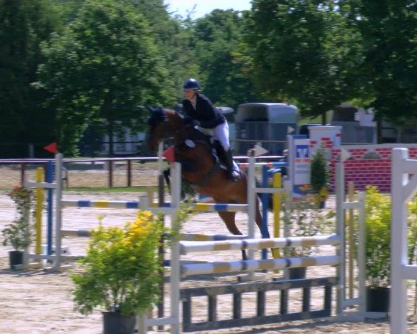 Reitturnier Dorsten 2024