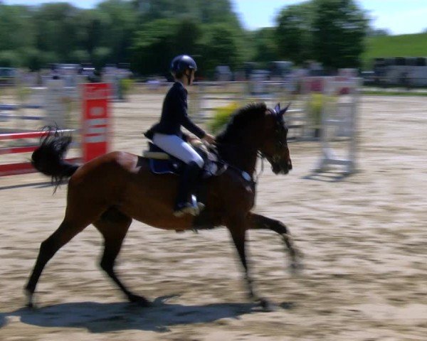 Reitturnier Dorsten 2024