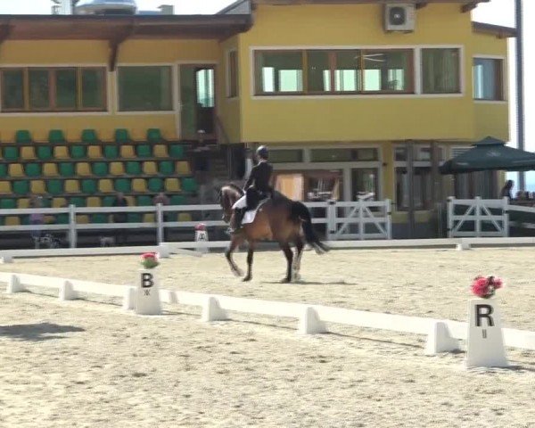 Reitturnier St. Margarethen 2024
