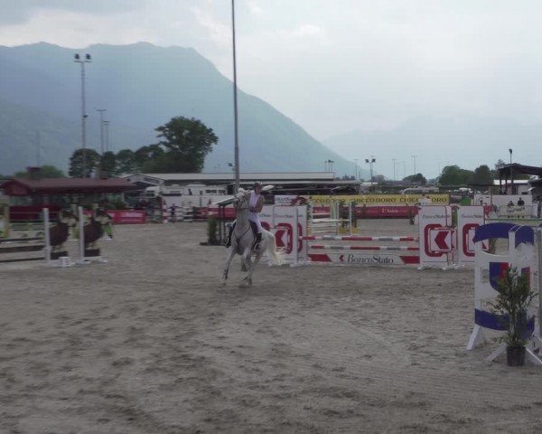 Reitturnier Giubiasco 2024