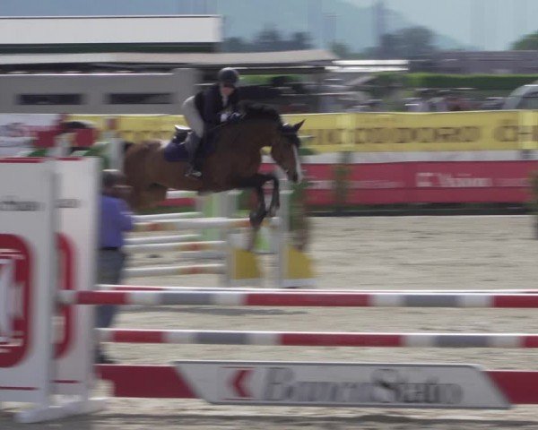 Reitturnier Giubiasco 2024