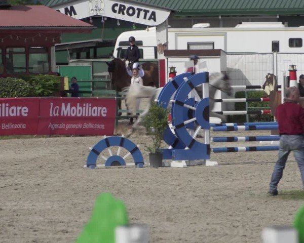 Reitturnier Giubiasco 2024