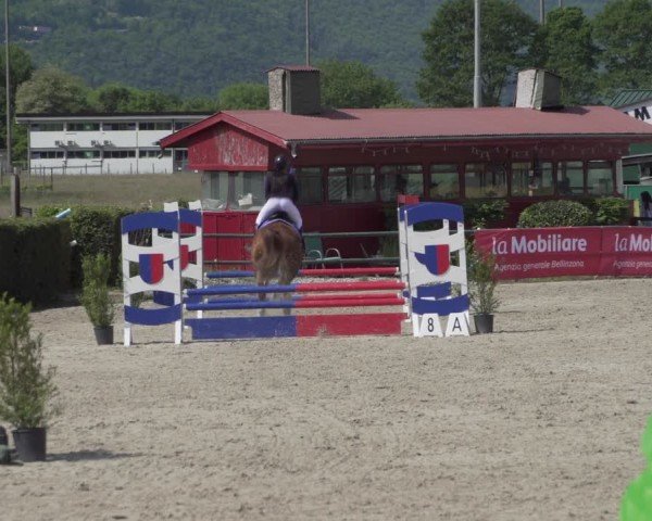 Reitturnier Giubiasco 2024