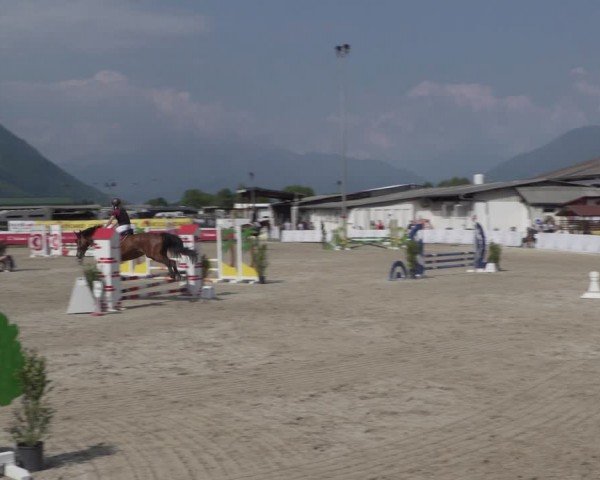 Reitturnier Giubiasco 2024