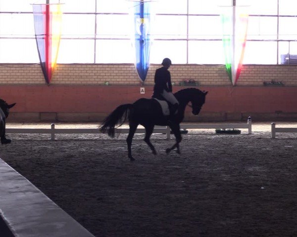 Reitturnier Hellefeld 2024