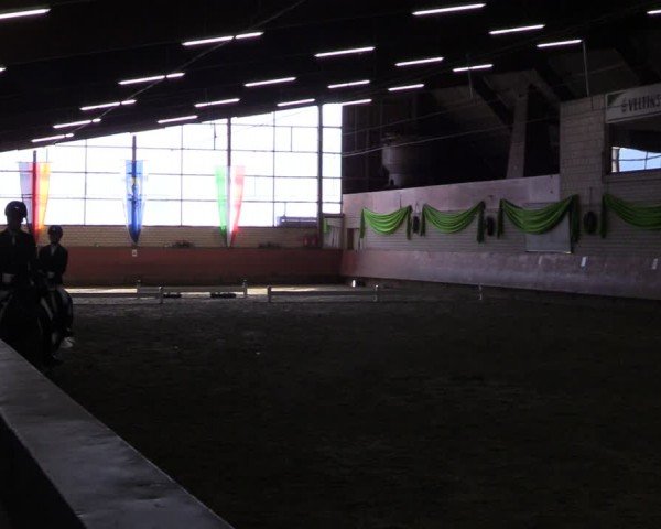 Reitturnier Hellefeld 2024