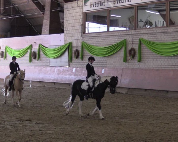 Reitturnier Hellefeld 2024