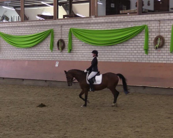 Reitturnier Hellefeld 2024