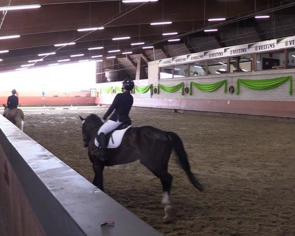 Reitturnier Hellefeld 2024