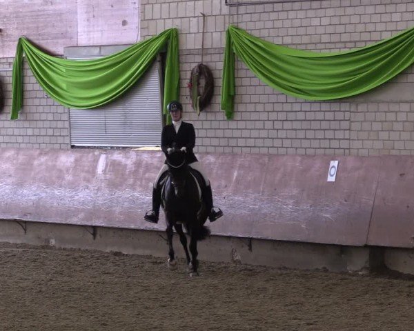 Reitturnier Hellefeld 2024