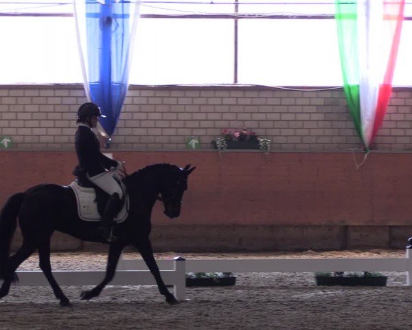 Reitturnier Hellefeld 2024