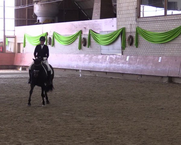 Reitturnier Hellefeld 2024