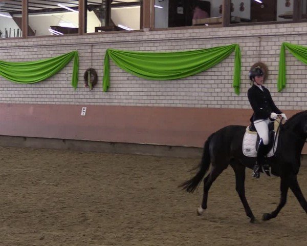 Reitturnier Hellefeld 2024
