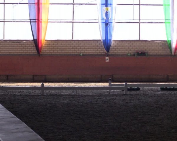 Reitturnier Hellefeld 2024